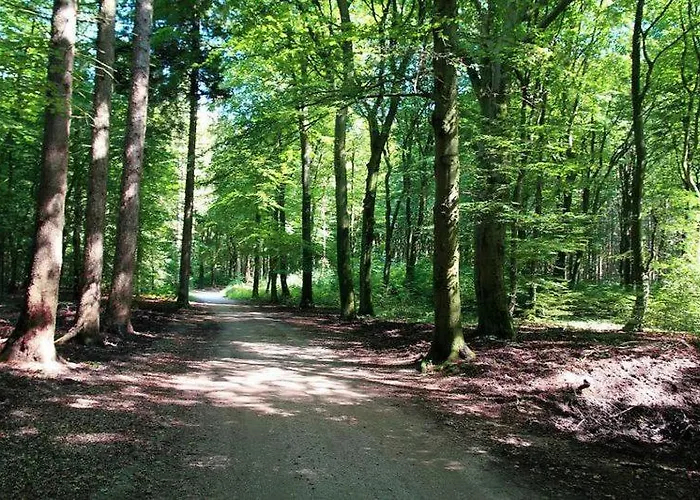 Chalé Chalet 't Veluws Stulpje 