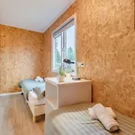 Chalet 't Veluws Stulpje 