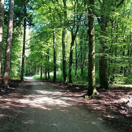 Alpstuga Chalet 't Veluws Stulpje 